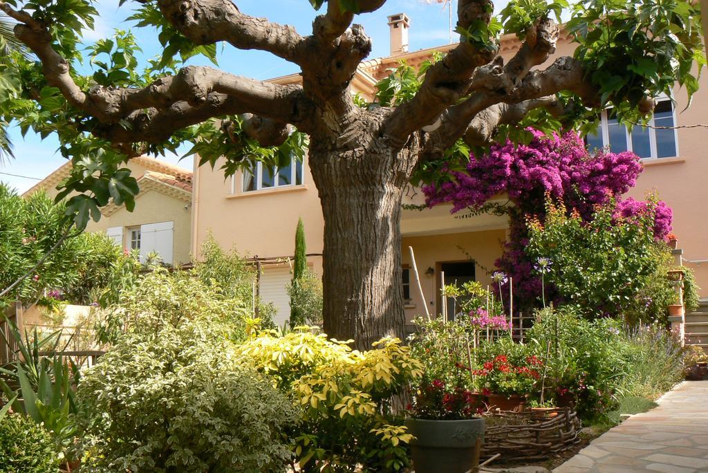 L' Escale Tranquille Sète Exterior foto